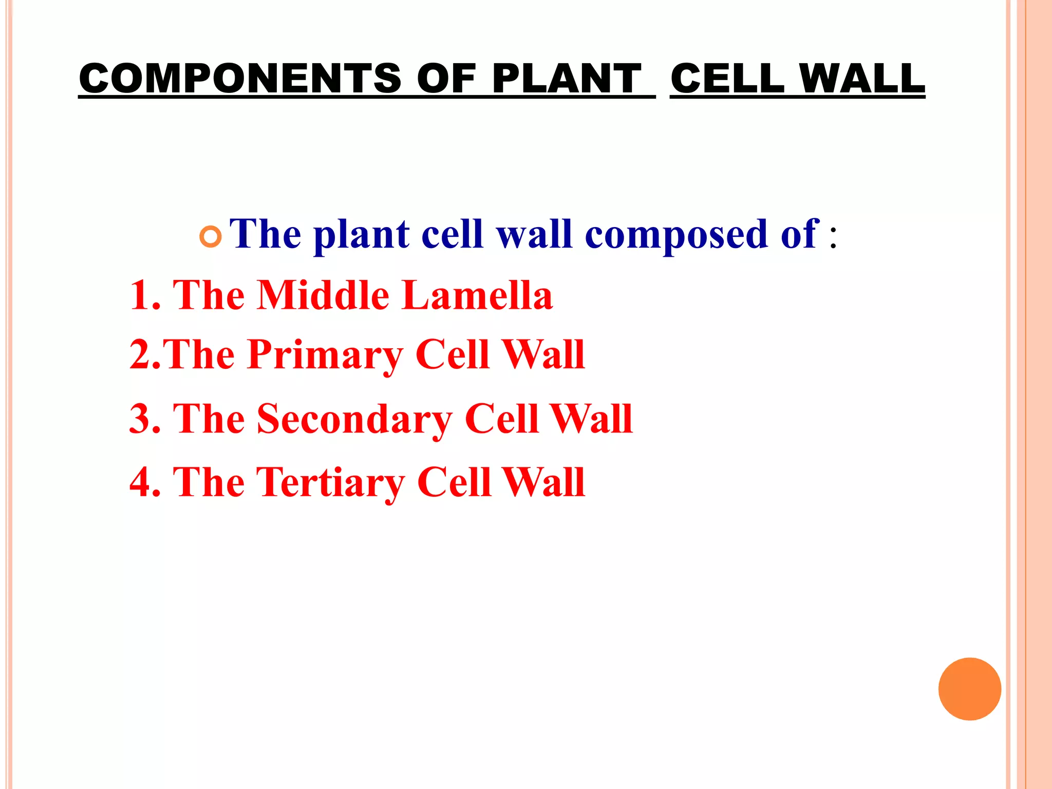 COMPONENTS OF PLANT CELL WALL
The plant cell wall composed of :
1. The Middle Lamella
2.The Primary Cell Wall
3. The Secondary Cell Wall
4. The Tertiary Cell Wall
 