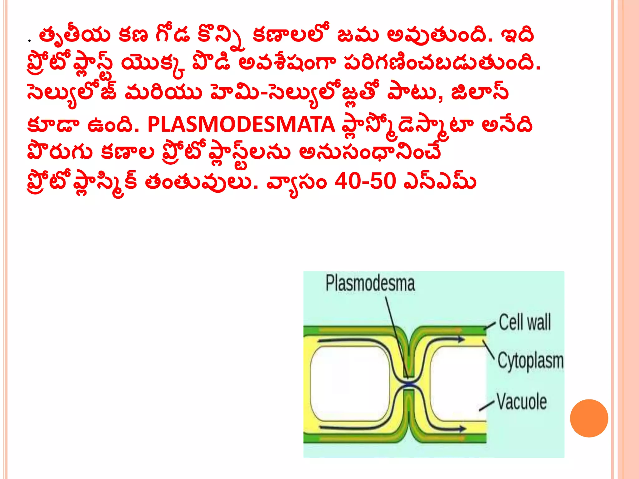 . తృతీయ క్ణ గోడ కొనిి క్ణాలలో జమ అవ్ుతుంది. ఇది
పోర టోపమల స్ే యొక్క పొ డి అవ్శేషంగమ ప్ర్ిగణంచబడుతుంది.
సెలుయలోజ్ మర్ియు హెమి-సెలుయలోజలత్ో పమట , జిలాన్
క్ూడా ఉంది. PLASMODESMATA పమల సో ాడెసమాటా అనేది
పొ రుగు క్ణాల పోర టోపమల స్ేలన్ అన్సంధానించే
పోర టోపమల సాక్ తంతువ్ులు. వమయసం 40-50 ఎన్ఎమ్
 