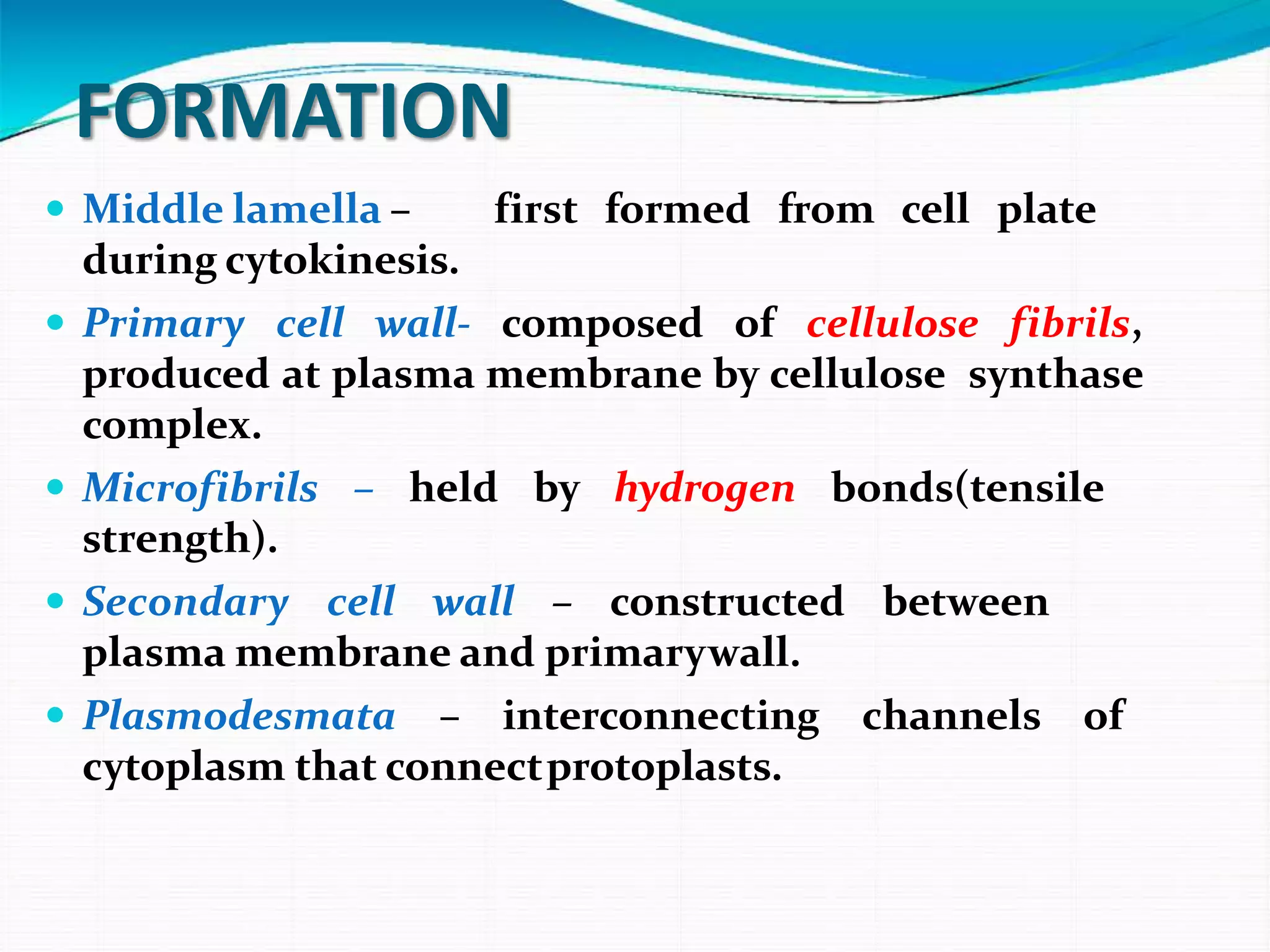 FORMATION
 Middle lamella – first formed from cell plate
during cytokinesis.
 Primary cell wall- composed of cellulose fibrils,
produced at plasma membrane by cellulose synthase
complex.
 Microfibrils – held by hydrogen bonds(tensile
strength).
 Secondary cell wall – constructed between
plasma membrane and primarywall.
 Plasmodesmata – interconnecting channels of
cytoplasm that connectprotoplasts.
 