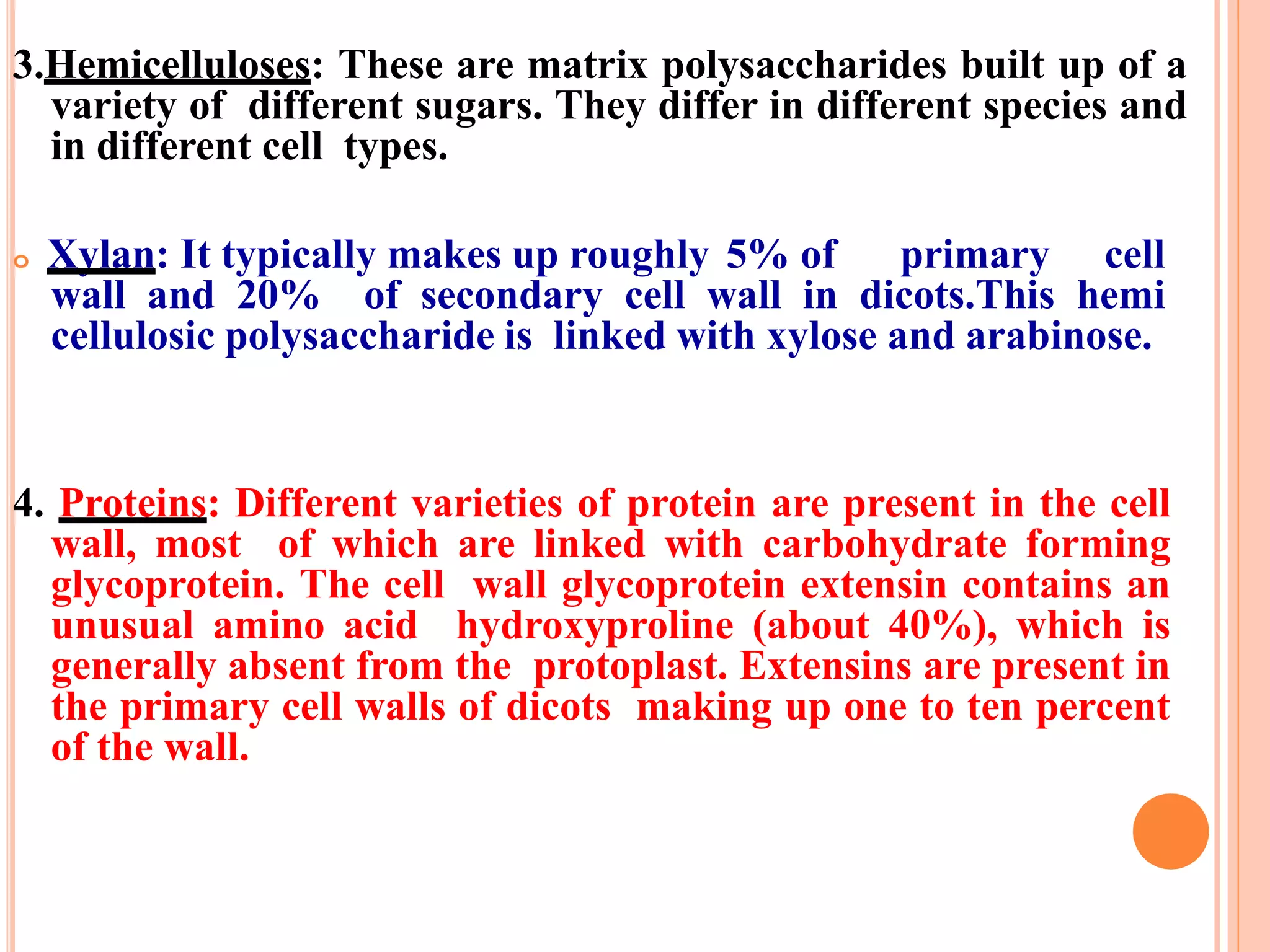3.Hemicelluloses: These are matrix polysaccharides built up of a
variety of different sugars. They differ in different species and
in different cell types.
o Xylan: It typically makes up roughly 5% of primary cell
wall and 20% of secondary cell wall in dicots.This hemi
cellulosic polysaccharide is linked with xylose and arabinose.
4. Proteins: Different varieties of protein are present in the cell
wall, most of which are linked with carbohydrate forming
glycoprotein. The cell wall glycoprotein extensin contains an
unusual amino acid hydroxyproline (about 40%), which is
generally absent from the protoplast. Extensins are present in
the primary cell walls of dicots making up one to ten percent
of the wall.
 
