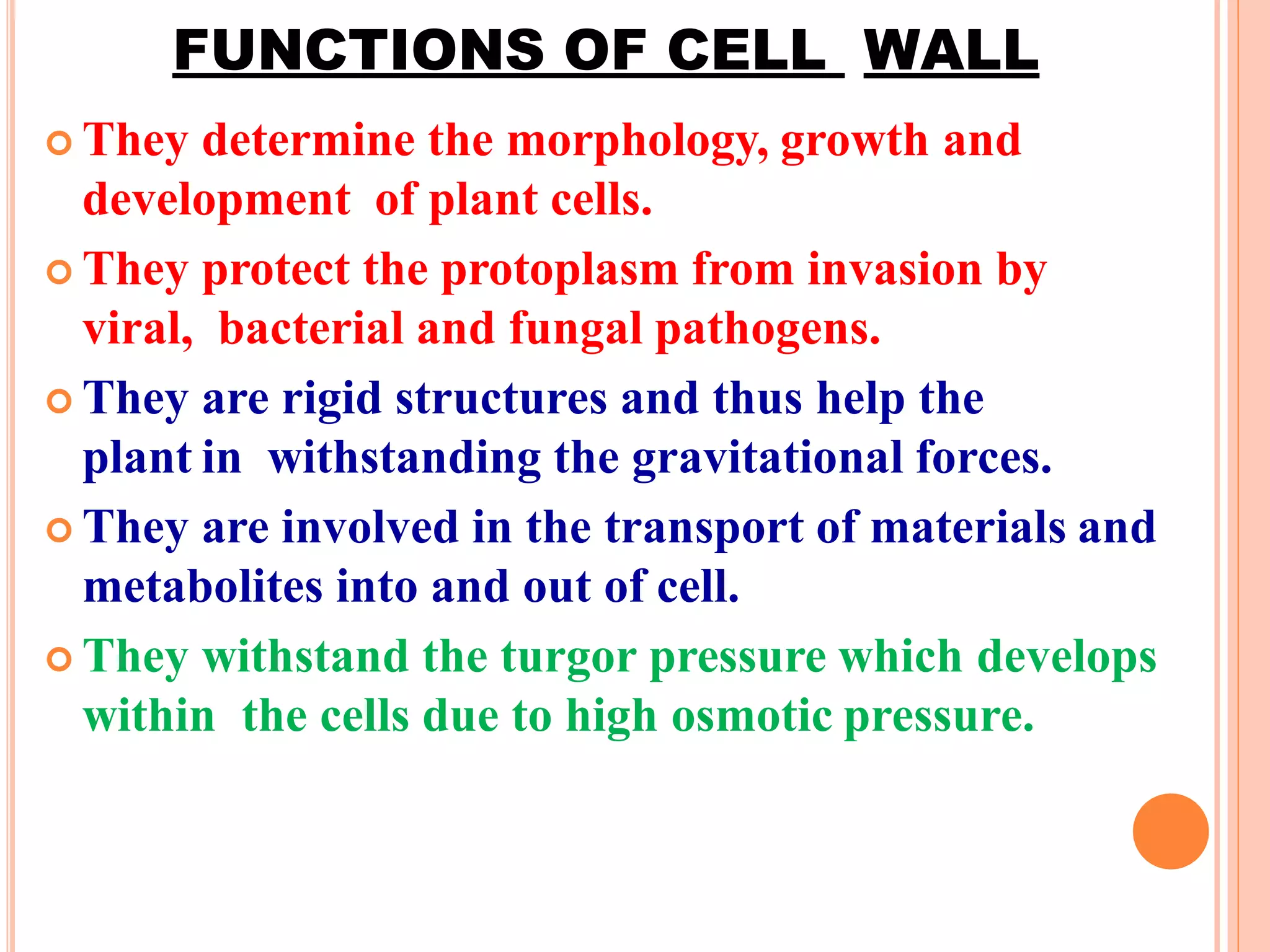 FUNCTIONS OF CELL WALL
 They determine the morphology, growth and
development of plant cells.
 They protect the protoplasm from invasion by
viral, bacterial and fungal pathogens.
 They are rigid structures and thus help the
plant in withstanding the gravitational forces.
 They are involved in the transport of materials and
metabolites into and out of cell.
 They withstand the turgor pressure which develops
within the cells due to high osmotic pressure.
 