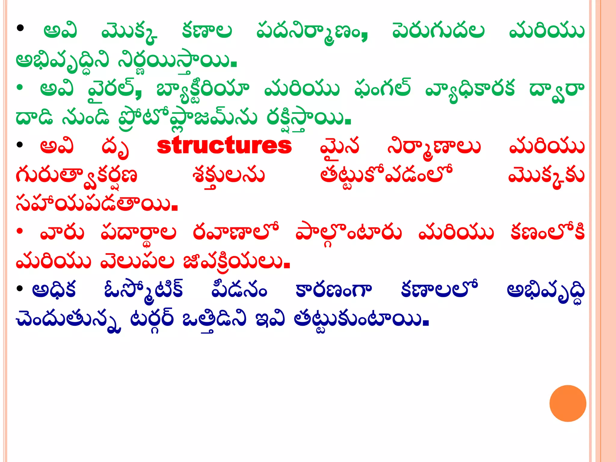 • అవి మొక్క క్ణాల ప్దనిర్మమణం, పెరుగుదల మరియు
అభివృదిి ని నిర్ణ యిస్రా యి.
• అవి వై ర్ల్, బాయకీు రియా మరియు ఫంగ్ల్ వ్యయధికార్క్ దాార్మ
దాడి నుండి ప్రా టోపాా జమ్‌ను ర్కిి స్రా యి.
• అవి దృ structures మై న నిర్మమణాలు మరియు
గురుత్వాక్ర్ి ణ శకుు లను తటు కోవడంలో మొక్కకు
సహాయప్డత్వయి.
• వ్యరు ప్దార్మథ ల ర్వ్యణాలో పాల్గ ంట్రరు మరియు క్ణంలోకి
మరియు వలుప్ల జీవకిి యలు.
• అధిక్ ఓస్మమటిక్ పీడనం కార్ణంగా క్ణాలలో అభివృదిి
చందుతనన ట్ర్గ ర్ ఒత్తా డిని ఇవి తటు కుంట్రయి.
 
