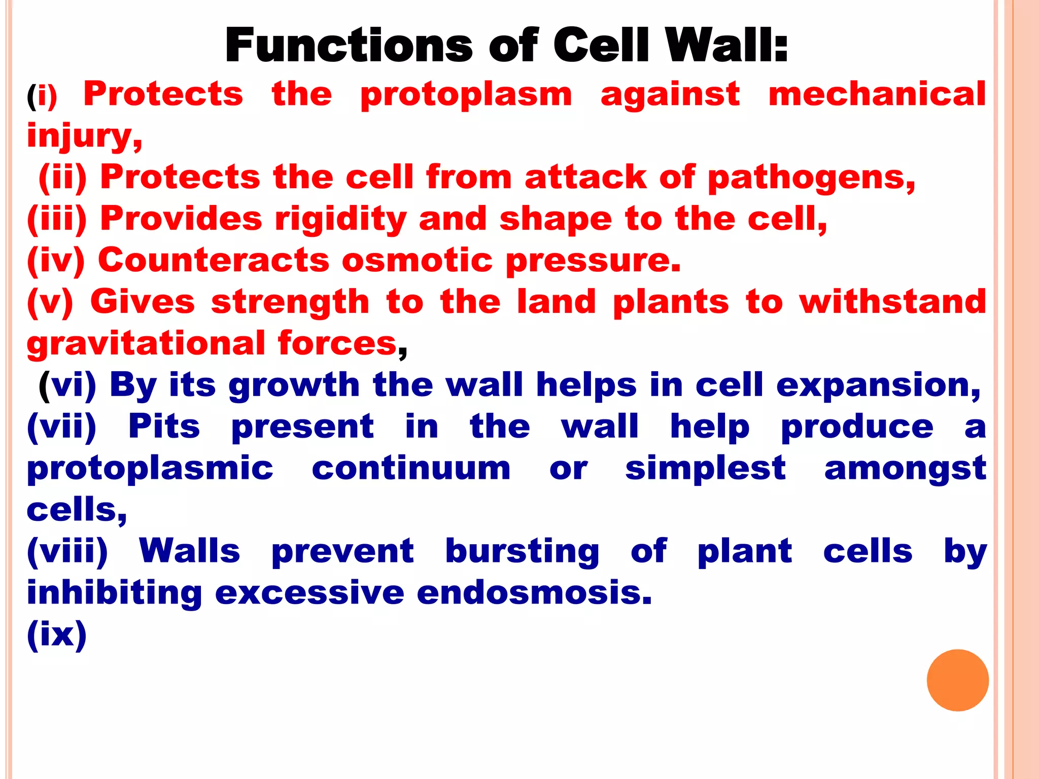 Functions of Cell Wall:
(i) Protects the protoplasm against mechanical
injury,
(ii) Protects the cell from attack of pathogens,
(iii) Provides rigidity and shape to the cell,
(iv) Counteracts osmotic pressure.
(v) Gives strength to the land plants to withstand
gravitational forces,
(vi) By its growth the wall helps in cell expansion,
(vii) Pits present in the wall help produce a
protoplasmic continuum or simplest amongst
cells,
(viii) Walls prevent bursting of plant cells by
inhibiting excessive endosmosis.
(ix)
 