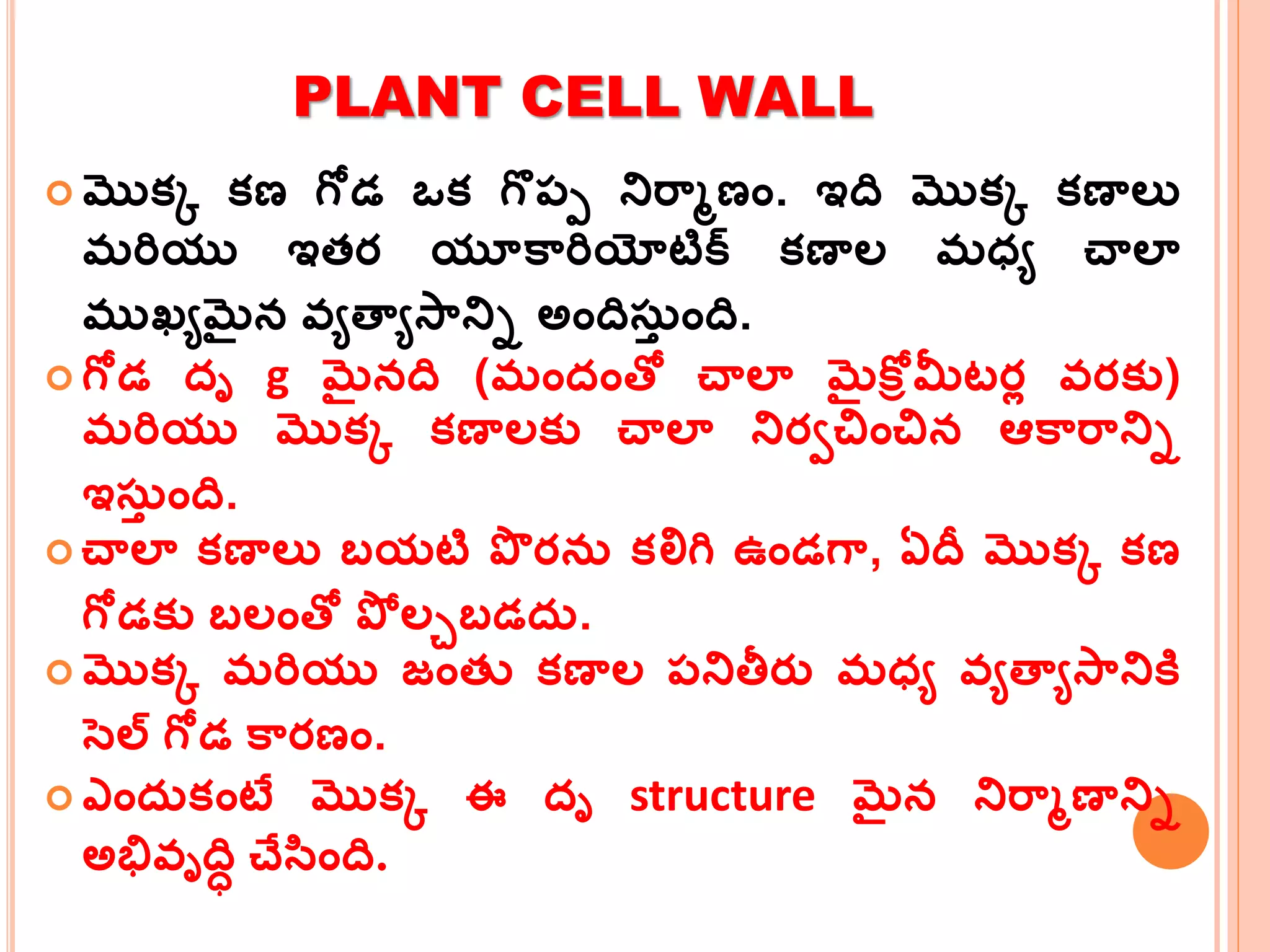 PLANT CELL WALL
 మొక్క క్ణ గోడ ఒక్ గొప్ప నిర్మాణం. ఇది మొక్క క్ణాలు
మర్ియు ఇతర యూకమర్ియోటిక్ క్ణాల మధ్య చాలా
ముఖ్యమైన వ్యత్ాయసమనిి అందిస్త ంది.
 గోడ దృ g మైనది (మందంత్ో చాలా మైకరో మీటరల వ్రక్ు)
మర్ియు మొక్క క్ణాలక్ు చాలా నిరవచంచన ఆకమర్మనిి
ఇస్త ంది.
 చాలా క్ణాలు బయటి పొ రన్ క్లిగి ఉండగమ, ఏదీ మొక్క క్ణ
గోడక్ు బలంత్ో పో లచబడద్.
 మొక్క మర్ియు జంతు క్ణాల ప్నితీరు మధ్య వ్యత్ాయసమనికి
సెల్ గోడ కమరణం.
 ఎంద్క్ంటే మొక్క ఈ దృ structure మైన నిర్మాణానిి
అభివ్ృదిి చేసంది.
 
