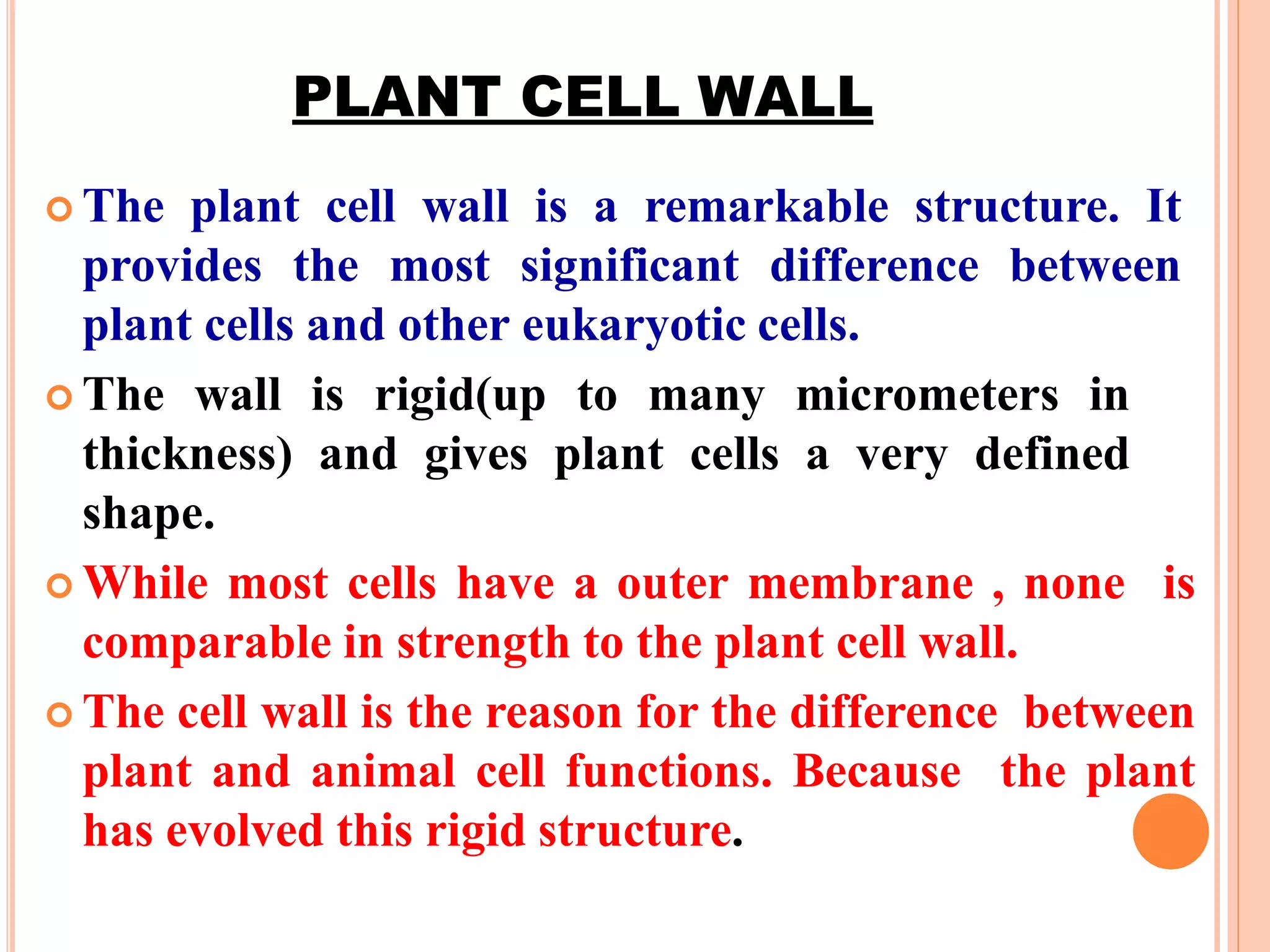 PLANT CELL WALL
 The plant cell wall is a remarkable structure. It
provides the most significant difference between
plant cells and other eukaryotic cells.
 The wall is rigid(up to many micrometers in
thickness) and gives plant cells a very defined
shape.
 While most cells have a outer membrane , none is
comparable in strength to the plant cell wall.
 The cell wall is the reason for the difference between
plant and animal cell functions. Because the plant
has evolved this rigid structure.
 
