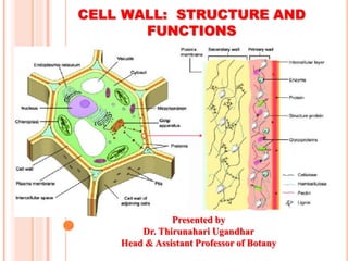 CELL WALL: STRUCTURE AND
FUNCTIONS
Presented by
Dr. Thirunahari Ugandhar
Head & Assistant Professor of Botany
 