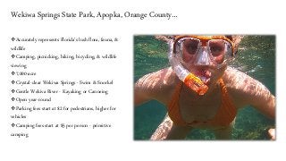 Budget Vacation in Florida: Fun & Inexpensive Things to do…