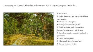 Budget Vacation in Florida: Fun & Inexpensive Things to do…