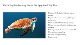 Budget Vacation in Florida: Fun & Inexpensive Things to do…