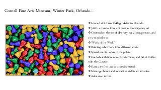 Budget Vacation in Florida: Fun & Inexpensive Things to do…