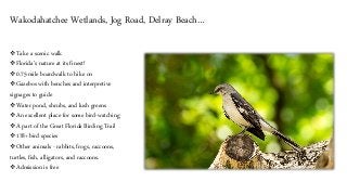 Budget Vacation in Florida: Fun & Inexpensive Things to do…