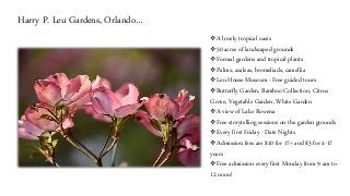 Budget Vacation in Florida: Fun & Inexpensive Things to do…