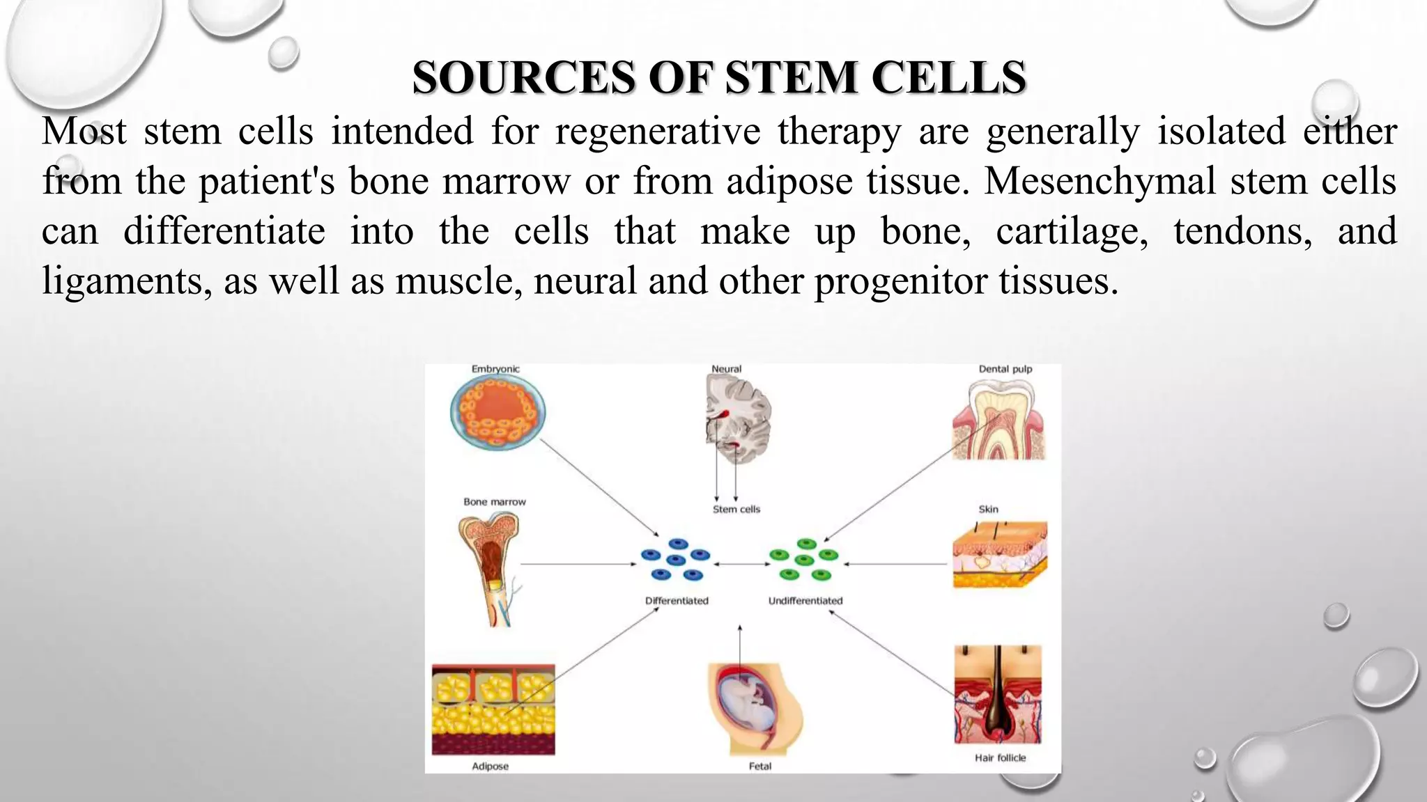 STEMCELL