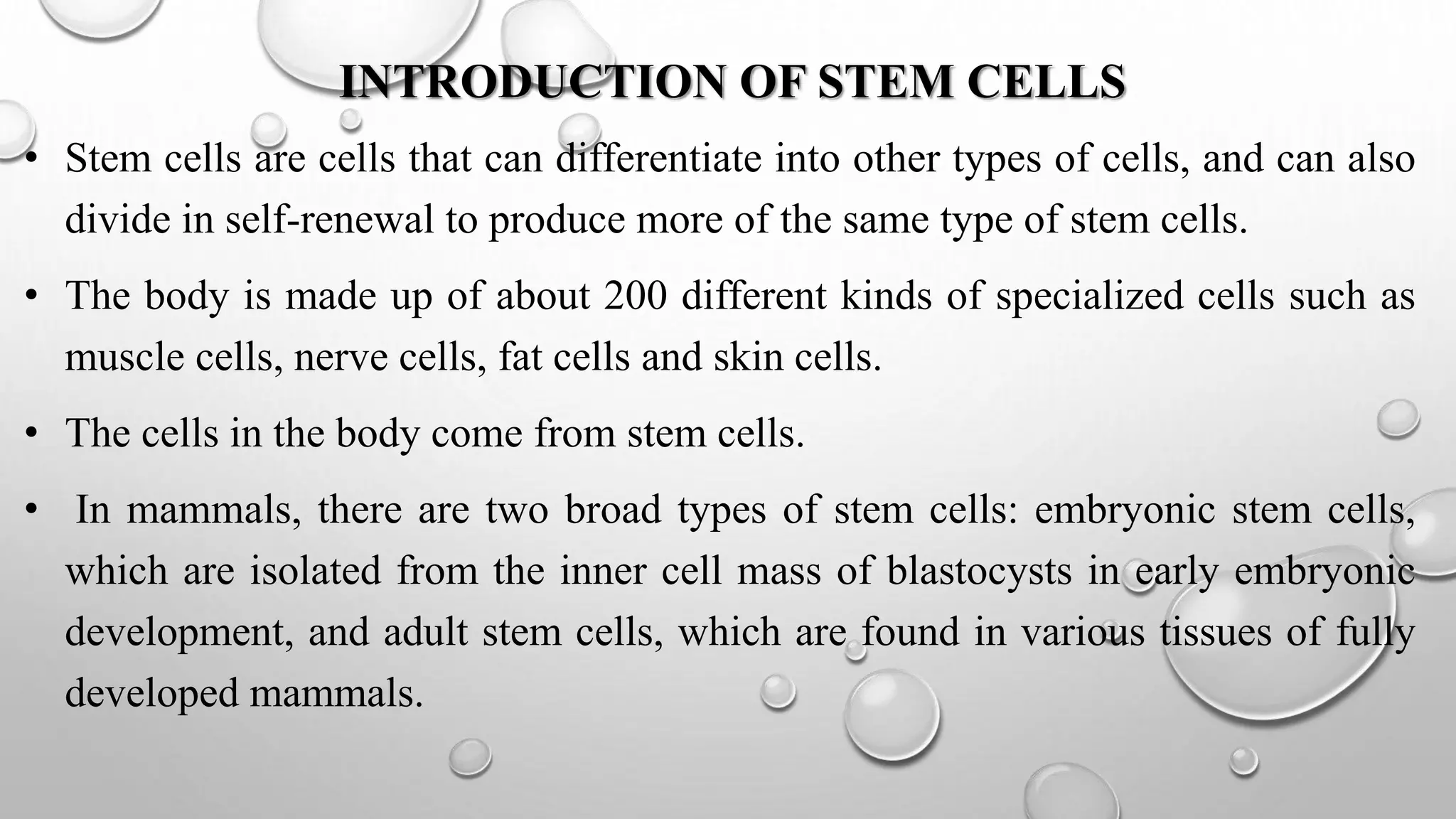 STEMCELL