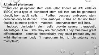STEMCELL