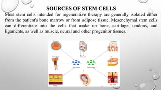 STEMCELL
