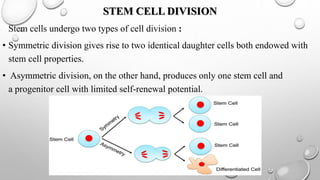 STEMCELL