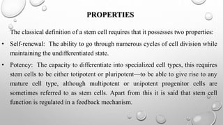 STEMCELL