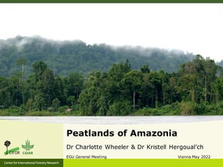 Peatlands of Amazonia
Dr Charlotte Wheeler & Dr Kristell Hergoual’ch
EGU General Meeting Vienna May 2022
 