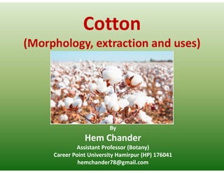 Cotton
(Morphology, extraction and uses)
By
Hem Chander
Assistant Professor (Botany)
Career Point University Hamirpur (HP) 176041
hemchander78@gmail.com
 