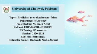 University of Chakwal, Pakistan
Topic : Medicinal uses of poisonous fishes
Department of Zoology
Presented by: Mehreen Afzal
Roll no# UOC-BSZOL-F2020/031
BS Zoology 8th semester
Session: 2020-2024
Subject: Ichthyology
Instructor Name: Dr. Syeda Nadia Ahmad
 