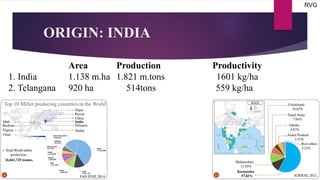 ORIGIN: INDIA
Area Production Productivity
1. India 1.138 m.ha 1.821 m.tons 1601 kg/ha
2. Telangana 920 ha 514tons 559 kg/ha
RVG
 