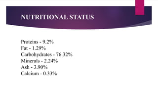 Proteins - 9.2%
Fat - 1.29%
Carbohydrates - 76.32%
Minerals - 2.24%
Ash - 3.90%
Calcium - 0.33%
NUTRITIONAL STATUS
 