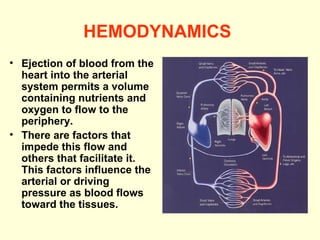 HEMODYNAMICS   Ejection of blood from the heart into the arterial system permits a volume containing nutrients and oxygen to flow to the periphery.  There are factors that impede this flow and others that facilitate it. This factors influence the arterial or driving pressure as blood flows toward the tissues.   