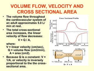 VOLUME FLOW, VELOCITY AND CROSS SECTIONAL AREA The volume flow throughout the cardiovascular system of an adult approximates 5.0 L/min at rest. The total cross-sectional area increases, the linear velocity of flow decreases:  V = Q / A,  where:  V = linear velocity (cm/sec),   Q = volume flow (cm3/min),   A = area (cm2).  Because Q is a constant: V = 1/A, or velocity is inversely proportional to the the cross-sectional area. 