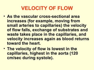 VELOCITY OF FLOW As the vascular cross-sectional area increases (for example, moving from small arteries to capillaries) the velocity of flow falls, exchange of substrates and waste takes place in the capillaries, and velocity increases again as blood returns toward the heart.  The velocity of flow is lowest in the capillaries, highest in the aorta (120 cm/sec during systole). 