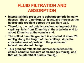 FLUID FILTRATION AND ABSORPTION Interstitial fluid pressure is subatmospheric in many tissues (about -2 mmHg), i.e. it actually increases the hydrostatic gradient across the capillary wall.  Therefore, the hydrostatic gradient acting out of the capillary, falls from 32 mmHg at the arteriolar end to about 12 mmHg at the venular end. The colloid osmotic gradient is constant at about 20 mmHg along the length of the capillary, since the concentrations of protein in the plasma and interstitium do not change. This gradient reflects the difference between the colloid osmotic pressure of plasma (25 mmHg) and that of the interstitial fluid (5 mmHg). 