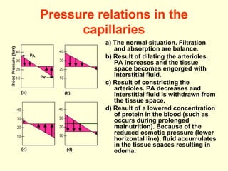 Pressure relations in the capillaries a) The normal situation. Filtration and absorption are balance. b) Result of dilating the arterioles. PA increases and the tissue space becomes engorged with interstitial fluid. c) Result of constricting the arterioles. PA decreases and interstitial fluid is withdrawn from the tissue space. d) Result of a lowered concentration of protein in the blood (such as occurs during prolonged malnutrition). Because of the reduced osmotic pressure (lower horizontal line), fluid accumulates in the tissue spaces resulting in edema. 