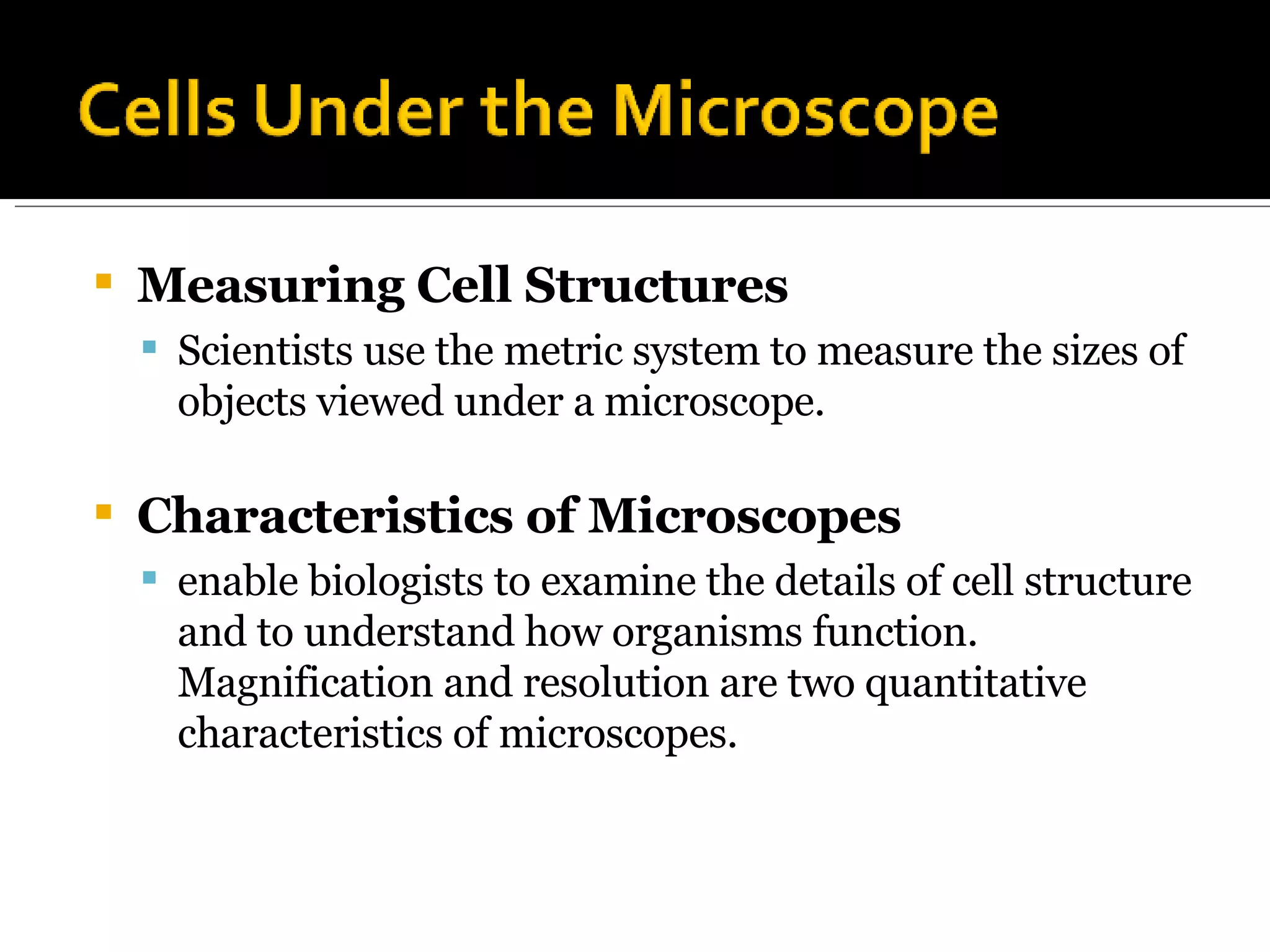 3-1 Looking At Cells Ppt | PPT