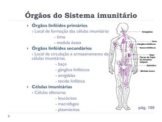 Órgãos do Sistema imunitário
   Órgãos linfóides primários
    › Local de formação das células imunitárias
                 - timo
                 - medula óssea
   Órgãos linfóides secundários
    › Local de circulação e armazenamento das
    células imunitárias.
                  - baço
                  - gânglios linfáticos
                  - amígdalas
                  - tecido linfático
   Células imunitárias
    › Células efectoras
                  - leucócitos
                  - macrófagos
                  - plasmócitos                   pág. 189
 