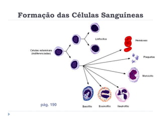 Formação das Células Sanguíneas




     pág. 190
 