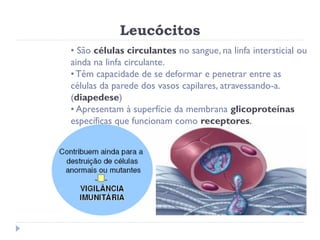 Leucócitos
• São células circulantes no sangue, na linfa intersticial ou
ainda na linfa circulante.
• Têm capacidade de se deformar e penetrar entre as
células da parede dos vasos capilares, atravessando-a.
(diapedese)
• Apresentam à superfície da membrana glicoproteínas
específicas que funcionam como receptores.
 