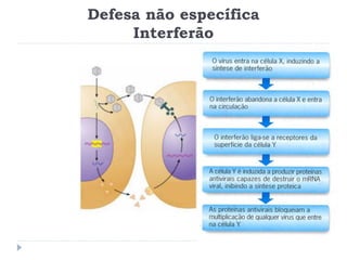 Defesa não específica
     Interferão
 