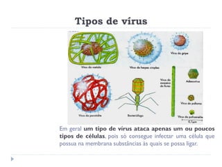 Tipos de vírus




Em geral um tipo de vírus ataca apenas um ou poucos
tipos de células, pois só consegue infectar uma célula que
possua na membrana substâncias às quais se possa ligar.
 