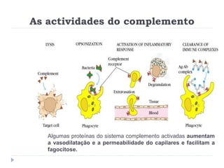As actividades do complemento




   Algumas proteínas do sistema complemento activadas aumentam
   a vasodilatação e a permeabilidade do capilares e facilitam a
   fagocitose.
 