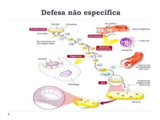 Defesa não específica
 