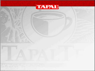 tapal brand analysis PPT slide for comptetive data