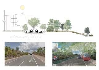 SECTION OF TIGER BRENNAN DR AT THE ENRENCE OF THE PARK
BEFORE AFTER
 