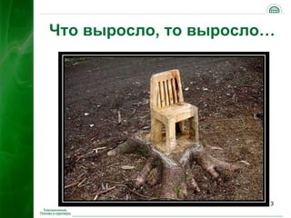 Емельянников Почему Нельзя Не Нарушить Закон 310512 | PPT