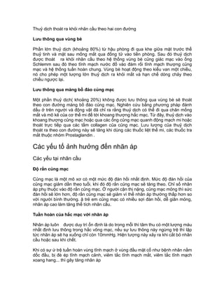 Thuỷ dịch thoát ra khỏi nhãn cầu theo hai con đường
Lưu thông qua vùng bè
Phần lớn thuỷ dịch (khoảng 80%) từ hậu phòng đi qua khe giữa mặt trước thể
thuỷ tinh và mặt sau mống mắt qua đồng tử vào tiền phòng. Sau đó thuỷ dịch
được thoát ra khỏi nhãn cầu theo hệ thống vùng bè củng giác mạc vào ống
Schlemm sau đó theo tĩnh mạch nước đổ vào đám rối tĩnh mạch thượng củng
mạc và hệ thống tuần hoàn chung. Vùng bè hoạt động theo kiểu van một chiều,
nó cho phép một lượng lớn thuỷ dịch ra khỏi mắt và hạn chế dòng chảy theo
chiều ngược lại.
Lưu thông qua màng bồ đào củng mạc
Một phần thuỷ dịch( khoảng 20%) không được lưu thông qua vùng bè sẽ thoát
theo con đường màng bồ đào củng mạc. Nghiên cứu bằng phương pháp đánh
dấu ở trên người và động vật đã chỉ ra rằng thuỷ dịch có thể đi qua chân mống
mắt và mô kẽ của cơ thể mi để tới khoang thượng hắc mạc. Từ đây, thuỷ dịch vào
khoang thượng củng mạc hoặc qua các ống củng mạc quanh động mạch mi hoặc
thoát trực tiếp qua các tấm collagen của củng mạc. Lưu lượng của thuỷ dịch
thoát ra theo con đường này sẽ tăng khi dùng các thuốc liệt thể mi, các thuốc tra
mắt thuộc nhóm Prostaglandin .
Các yếu tố ảnh hưởng đến nhãn áp
Các yếu tại nhãn cầu
Độ rắn củng mạc
Củng mạc là một mô xơ có một mức độ đàn hồi nhất định. Mức độ đàn hồi của
củng mạc giảm dần theo tuổi, khi đó độ rắn củng mạc sẽ tăng theo. Chỉ số nhãn
áp phụ thuộc vào độ rắn củng mạc. Ở người cận thị nặng, củng mạc mỏng thì sức
đàn hồi sẽ lớn hơn, độ rắn củng mạc sẽ giảm vì thế nhãn áp thường thấp hơn so
với người bình thường. ậ trẻ em củng mạc có nhiều sợi đàn hồi, dễ giãn mỏng,
nhãn áp cao làm tăng thể tích nhãn cầu.
Tuần hoàn của hắc mạc với nhãn áp
Nhãn áp luôn được duy trì ổn định là do trong mỗi thì tâm thu có một lượng máu
nhất định lưu thông trong hắc võng mạc, nếu sự lưu thông này ngừng trệ thì lập
tức nhãn áp sẽ hạ xuống chỉ còn 10mmHg. Hiện tượng này xảy ra khi cắt bỏ nhãn
cầu hoặc sau khi chết.
Khi có sự ứ trệ tuần hoàn vùng tĩnh mạch ở vùng đầu mặt cổ như bệnh nhân nằm
dốc đầu, bị đè ép tĩnh mạch cảnh, viêm tắc tĩnh mạch mắt, viêm tắc tĩnh mạch
xoang hang... thì gây tăng nhãn áp
 
