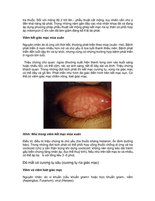 tra thuốc. Đối với mộng độ 2 trở lên - phẫu thuật cắt mộng, tuy nhiên cần chú ý
đến khả năng tái phát. Trong những năm gần đây các nhà nhãn khoa đã và đang
áp dụng phương pháp phẫu thuật cắt mộng ghép kết mạc rìa tự thân có phối hợp
áp mitomycin C khi cần đã làm giảm đáng kể tỉ lệ tái phát.
Viêm kết giác mạc mùa xuân
Nguyên nhân do dị ứng với thời tiết, thường phát triển theo mùa (xuân –hè). Bệnh
phát triển ở nam nhiều hơn nữ và chủ yếu ở lứa tuổi thanh thiếu niên. Bệnh phát
triển đến tuổi dậy thì và tự khỏi, nhưng cũng có những trường hợp bệnh phát triển
ở người lớn tuổi.
Triệu chứng chủ quan: ngứa (thường xuất hiện thành từng cơn vào buổi sáng
hoặc chiều tối), có thể cộm, rát, sợ ánh sáng, tiết tố dây dai và dính. Triệu chứng
khách quan: Trong những đợt kịch phát thì kết mạc cương tụ, vùng rìa giác mạc
có thể dầy và gồ lên. Phát triển nhú hình đa giác điển hình trên kết mạc sụn. Có
thể có viêm giác mạc chấm nông, loét giác mạc.
Hình: Nhú trong viêm kết mạc mùa xuân
Điều trị: điều trị triệu chứng là chủ yếu (tra thuốc kháng histamin, ổn định dưỡng
bào). Trong những đợt kịch phát có thể phối hợp uống thuốc chống dị ứng và tra
cocticoid (chú ý cần thận trọng khi dùng cocticoid: không nên dùng kéo dài tránh
gây biến chứng tăng nhãn áp, đục thể thuỷ tinh). Nếu nhú trên kết mạc to và nhiều,
có thể áp tia b với tổng liều 3 -5 phút.
Đỏ mắt có cương tụ sâu (cương tụ rìa giác mạc)
Viêm và viêm loét giác mạc
Nguyên nhân: do vi khuẩn (cầu khuẩn gram+ hoặc trực khuẩn gram-, nấm
(Aspergilus, Fusarium), virut (Herpes).
 