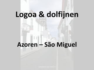 www.passie-voor-reizen.nl Logoa & dolfijnen Azoren – São Miguel 