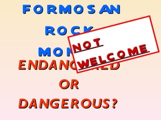 FORMOSAN  ROCK-MONKEY ENDANGERED OR DANGEROUS? NOT WELCOME 