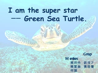 I am the super star ──  Green Sea Turtle. Group  Members 賴玥伶  劉栩沂 賴萱橤  黃筱薔 何諼   