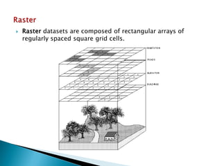Raster datasets are composed of rectangular arrays of regularly spaced square grid cells.  