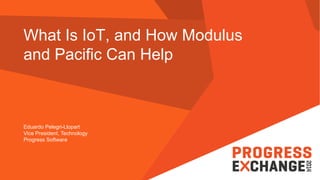 What Is IoT, and How Modulus and Pacific Can Help 
Eduardo Pelegri-Llopart 
Vice President, Technology 
Progress Software  